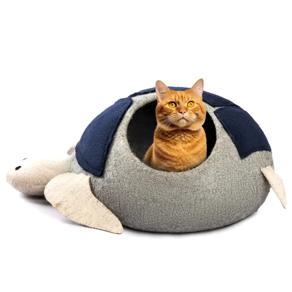 고양이 동굴 (거북이)