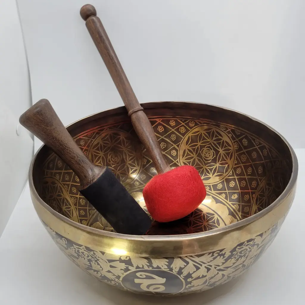 Solar Radiance Singing Bowl (10 Inch)