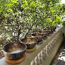 Full Moon 7 Chakra Singing Bowl Tiger Antique Set 