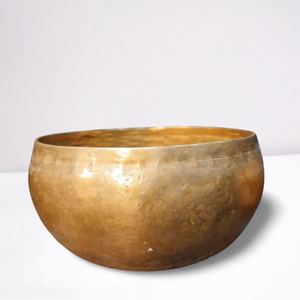 Antique Singh Bowl (Aryav)