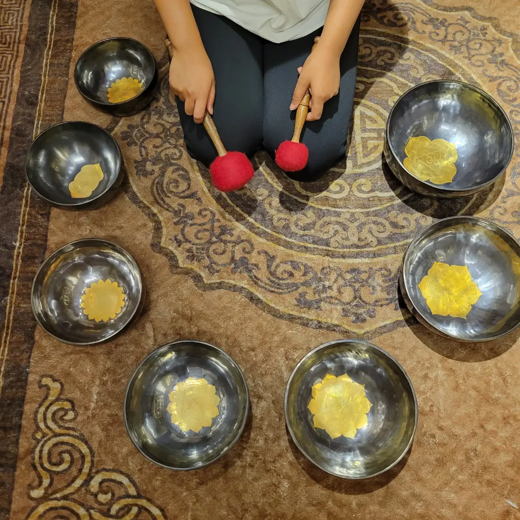 Chakra Singing Bowl Set – #FM7CSB020