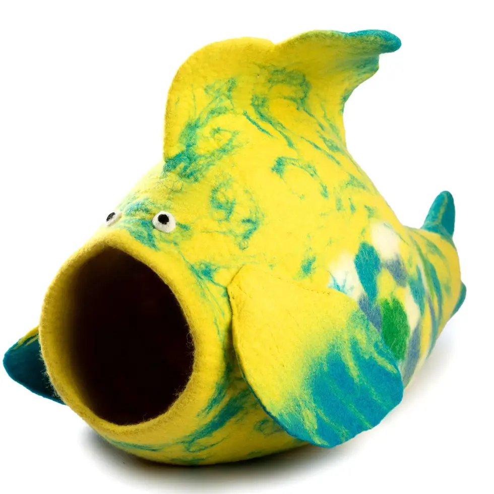 Cat Cave (Fish)
