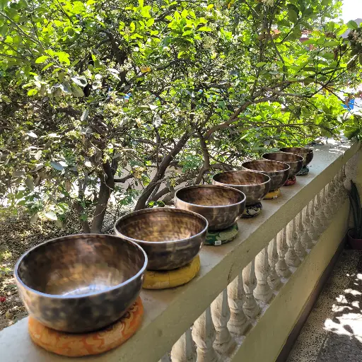 Full Moon 7 Chakra Singing Bowl Tiger Antique Set 